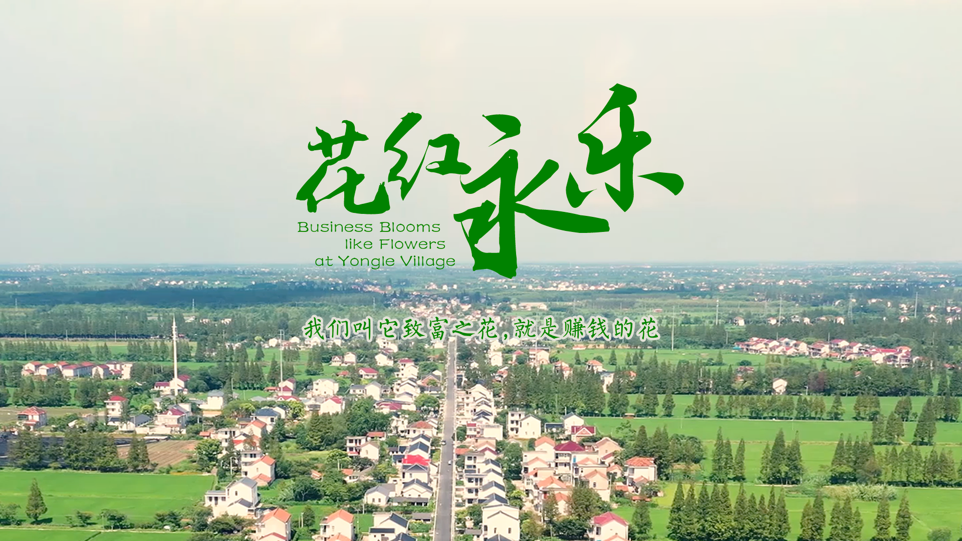 百姓話思想系列視頻第二季第十五集：《花紅永樂(lè)》