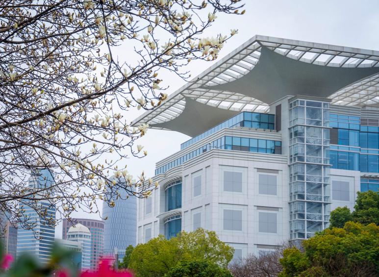 上海多植“乡土枝叶” 点缀千园之城 今年不少市民发现市花白玉兰开得又多又好 这背后是栽植规模和技术攻关支撑