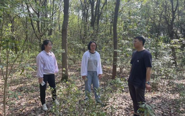 踏查林地定方案 養(yǎng)護(hù)指導(dǎo)促提升——城市人工林固碳增匯效能提升4.jpg 踏查林地定方案 養(yǎng)護(hù)指導(dǎo)促提升——城市人工林固碳增匯效能提升4.jpg