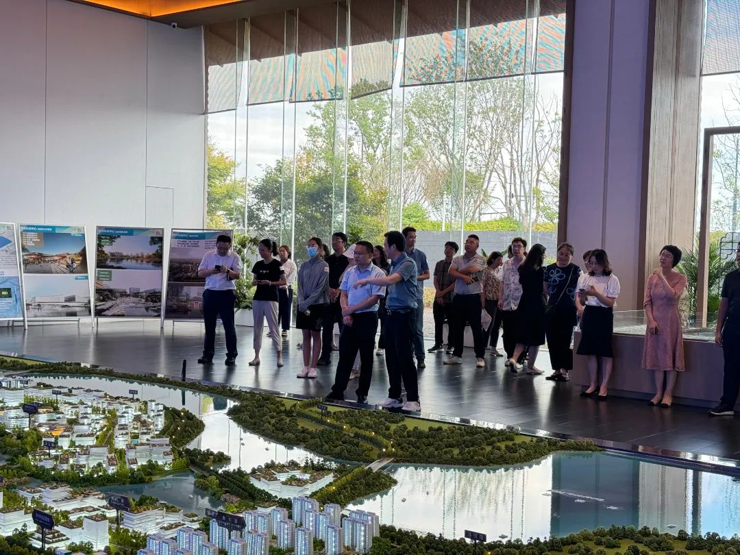 政府開放月活動：公眾走近示范區(qū)，感受青浦蓬勃發(fā)展.jpg