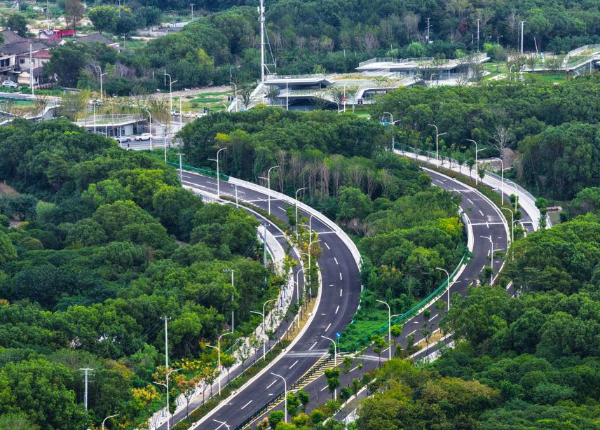 浦錦北路國(guó)慶通車(chē)