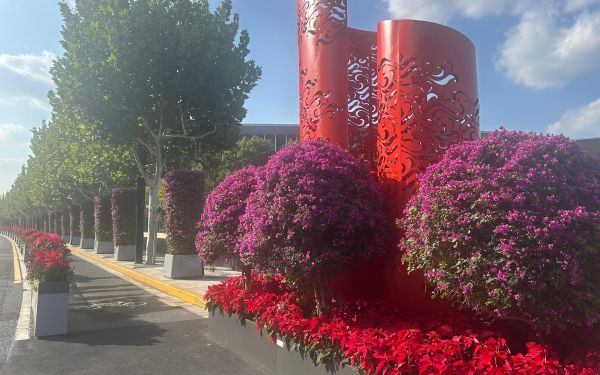 c92c2730889541dc6660ec86b49815e.jpg c92c2730889541dc6660ec86b49815e.jpg