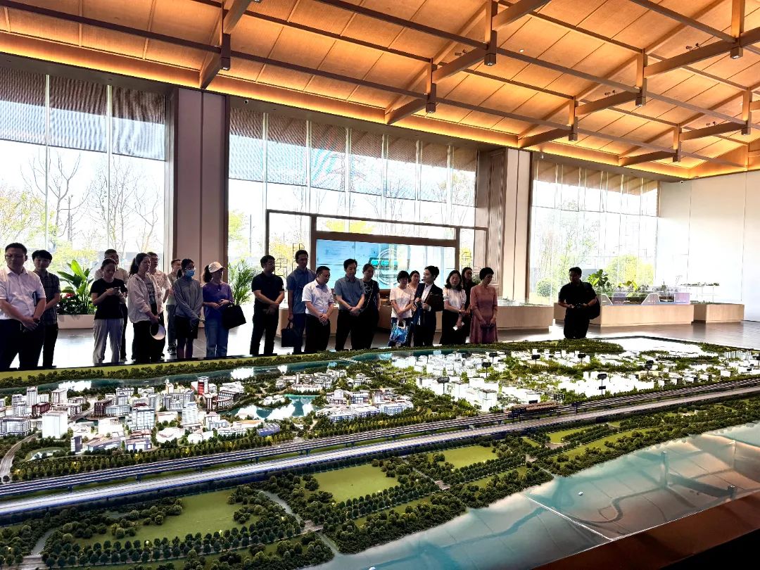 政府開放月活動：公眾走近示范區(qū)，感受青浦蓬勃發(fā)展 .jpg