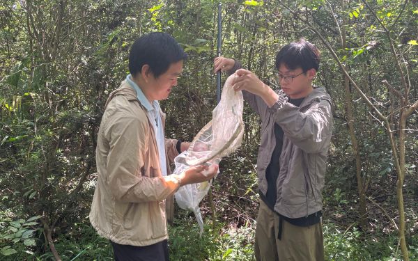 市林業(yè)總站啟動(dòng)上海城市森林撫育成效及松江大樣地調(diào)查2.jpg
