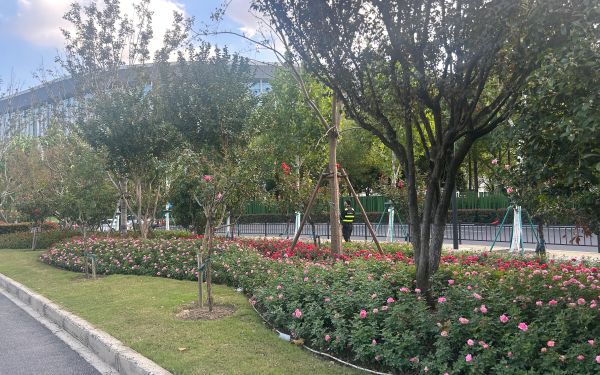 441e4201b6edc53fd6f99a24147e019.jpg 441e4201b6edc53fd6f99a24147e019.jpg